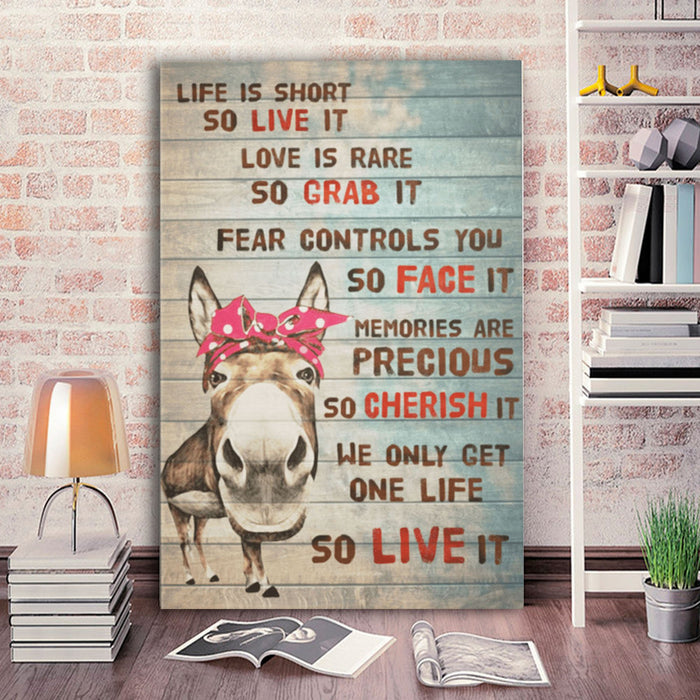 Donkey Life Is Short So Live It Canvas