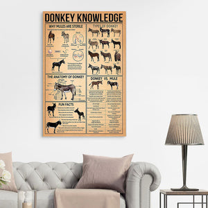 Donkey Knowledge - Why Mules Are Sterile, Types Of Donkey, The Anatomy Of Donkey, Fun Facts Canvas