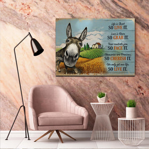 Donkey Life Is Short So Live It Love Is Rare So Grab It, Gift Idea Canvas, Funny Canvas