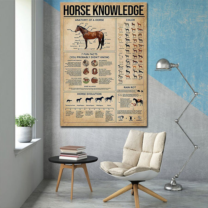 Horse Knowledge Canvas - Anatomy Of A Horse, Color, 7 Fun Facts, You Probably Didn't Know, Horse Evolution Canvas