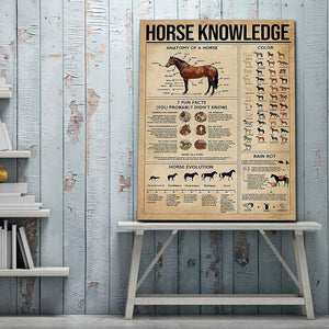 Horse Knowledge Canvas - Anatomy Of A Horse, Color, 7 Fun Facts, You Probably Didn't Know, Horse Evolution Canvas