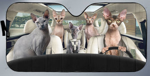 Sphynx Cats Family, Halloween Car Sunshade