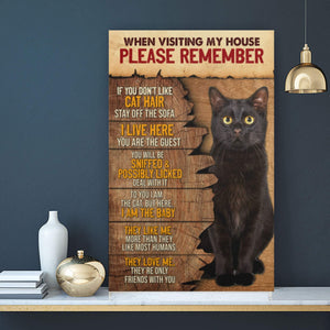 When Visiting My House Please Remember If You Don�EEE€�EEEt Like Cat Hair 0.75 & 1.5 In Framed Canvas - Home Living -Wall Decor - Canvas Wall Art