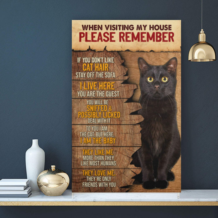 When Visiting My House Please Remember If You Don't Like Cat Hair Canvas