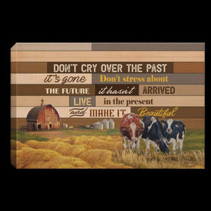 Don�EEE€�EEEt Cry Over The Past It�EEE€�EEEs Gone Don�EEE€�EEEt Stress About The Future Farmhouse Decor Canvas 0.75 & 1.5 In Framed - Wall Decor, Canvas Wall Art