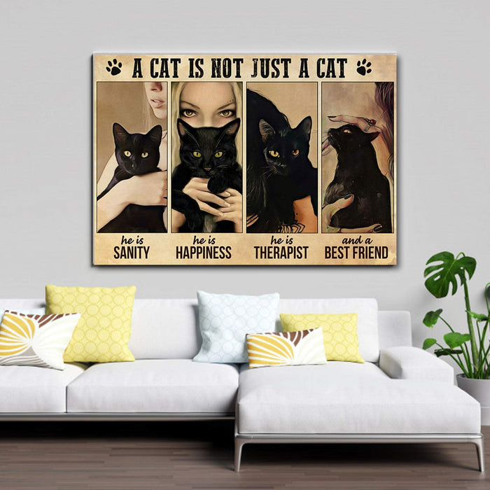 Girl Love Black Cat A Cat Is Not Just A Cat, He Is Sanity And Happiness - Canvas